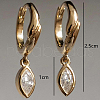 S925 Sterling Silver Horse Eye Hoop Earrings GT9786-4