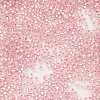 TOHO Japanese Seed Beads SEED-K007-1.5mm-38-2