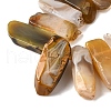 Natural Botswana Agate Beads Strands G-S386-D02-4