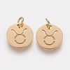 Ion Plating(IP) 304 Stainless Steel Pendants A-STAS-Q201-T445-2G-2