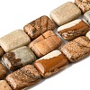 Natural Picture Jasper Beads Strands G-S386-A14-2