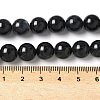 Natural Black Lip Shell Beads Strands SSHEL-C013-01D-4
