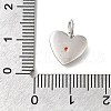 925 Sterling Silver Micro Pave Clear Cubic Zirconia Charms STER-V001-01P-07-3
