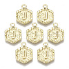 Alloy Pendants PALLOY-N157-003J-NR-1