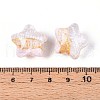 Transparent Resin Enamel Beads RESI-N043-02A-3