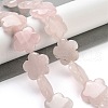 Natural Rose Quartz Beads Strands G-F769-X01-02-2