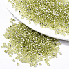 Glass Seed Beads X1-SEED-S042-04A-02-1