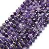 Natural Amethyst Beads Strands G-P573-A31-01-2