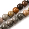 Natural Picture Jasper Beads Strands G-S390-07-10mm-2