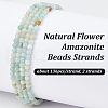 Olycraft 2 Strands Natural Flower Amazonite Beads Strands G-OC0005-63-4