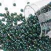 TOHO Round Seed Beads X-SEED-TR08-0384-1