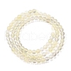 Watermelon Stone Glass Beads Strands G-L621-B08-4mm-3