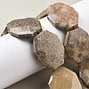 Natural Fossil Coral Beads Strands G-F477-07-44x34mm-2