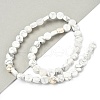 Natural Howlite Beads Strands G-M454-B02-1