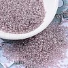 MIYUKI Round Rocailles Beads SEED-G007-RR0168-1