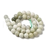 Natural Jade Beads Strands G-H298-A16-04-3