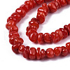 Natural Freshwater Shell Beads Strands X-SHEL-S278-041-3