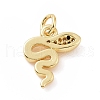 Brass Micro Pave Cubic Zirconia Charms KK-C012-16G-2