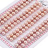 Grade 6A Natural Cultured Freshwater Pearl Beads PEAR-N018-6A-6065C-1