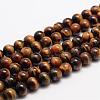 Natural Tiger Eye Bead Strands G-K153-B39-6mm-AB-1