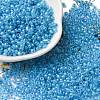 Glass Seed Beads SEED-XCP0001-31-1