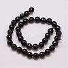 Natural Agate Bead Strands G-G882-10mm-A06-2