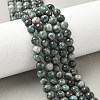 Natural Dioptase Beads Strands G-D302-02-6mm-1