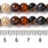 Dyed & Heated Natural Fire Crackle Agate Beads Strands G-P539-B01-08-5