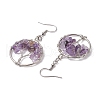 Natural Mixed Stone & Brass Dangle Earring EJEW-JE05981-5