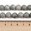 Natural Gemstone Beads Strands G-F792-C12-01-5