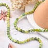 Natural Serpentine Beads Strands G-N166-6-6