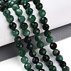 Natural Fuchsite Beads Strands G-T140-20A-2