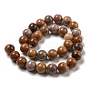 Natural Petrified Wood Round Bead Strands G-F266-08-12mm-4