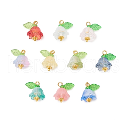 30Pcs Glass Pendants PALLOY-JF04000-02-1
