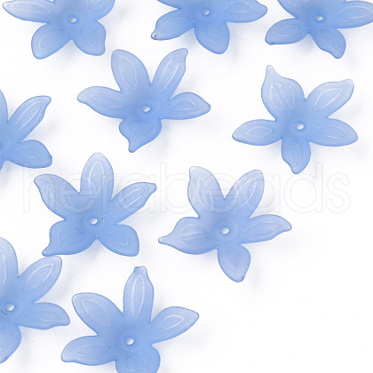 Transparent Acrylic Beads MACR-S373-127-D04-1