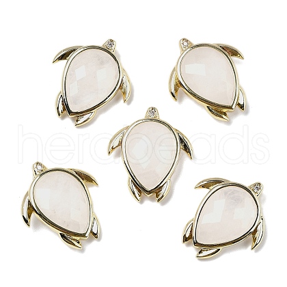 Natural Quartz Crystal Pendants G-U019-02G-01-1