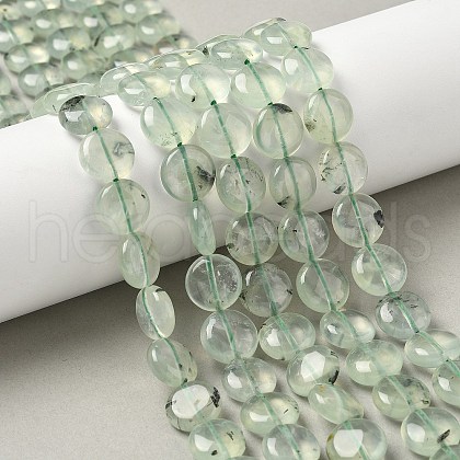 Natural Prehnite Beads Strands G-F790-H03-03-1