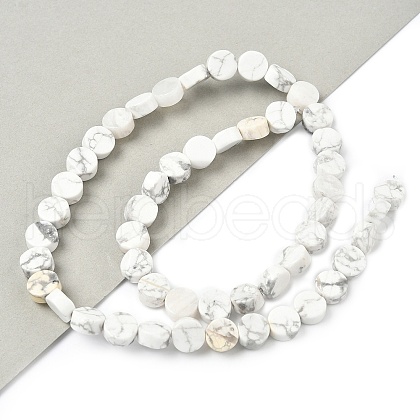 Natural Howlite Beads Strands G-M454-B02-1
