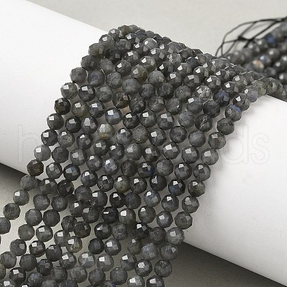 Natural Labradorite Beads Strands G-L622-C03-4mm-1
