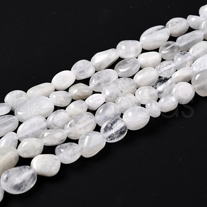 Natural Rainbow Moonstone Beads Strands G-G018-48-1