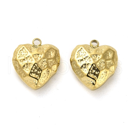 304 Stainless Steel Pendants STAS-L022-108G-02-1