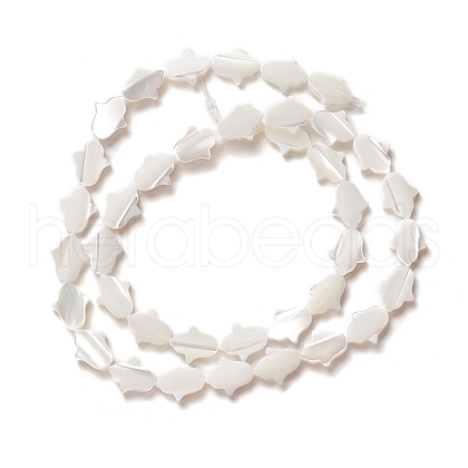 Natural Trochid Shell/Trochus Shell Beads SSHEL-O001-23A-1