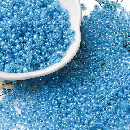 Glass Seed Beads SEED-XCP0001-31-1