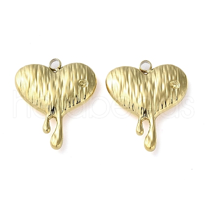 304 Stainless Steel Pendants STAS-H185-01G-1