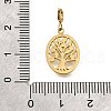 Oval with Tree of Life 304 Stainless Steel Pendant Decorations STAS-H202-20G-3