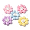 Opaque Resin Cabochons CRES-Q012-04B-1