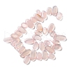 Natural Agate Beads Strands G-P565-A01-01-3