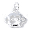 925 Sterling Silver Chinese Zodiac Outline Charms STER-P066-02S-09-1