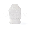 Natural Selenite Figurines DJEW-Q006-01A-1