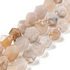 Natural Cherry Blossom Agate Beads Strands G-NH0010-E02-01-2